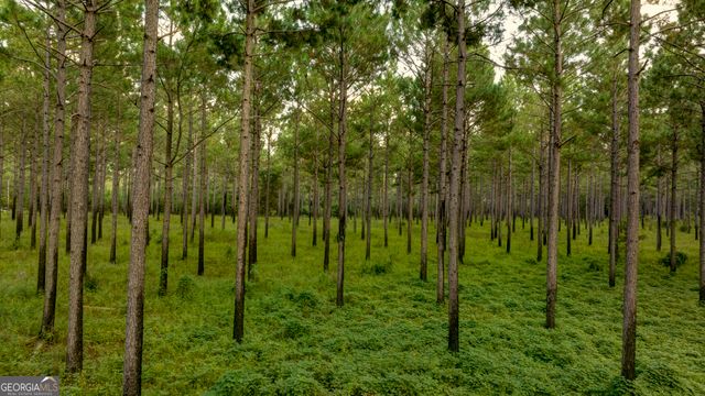 31 GA Hwy 41, Morgan, GA 39866