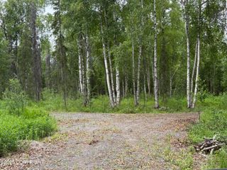 14412 E Ian Tawney Drive, Willow, AK 99688