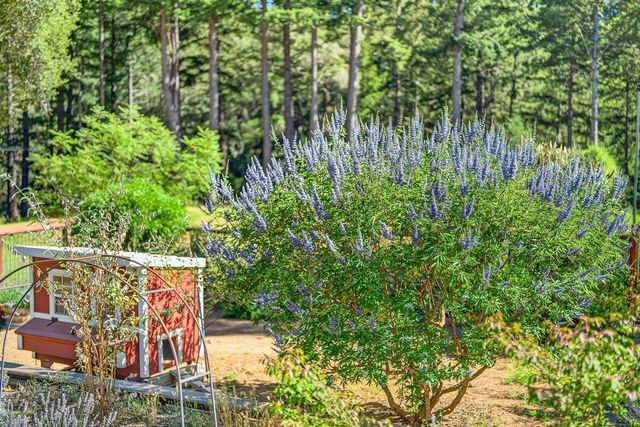 310 Winter Creek Road, Santa Cruz, CA 95060