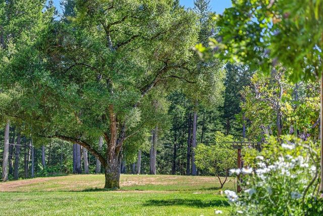 310 Winter Creek Road, Santa Cruz, CA 95060