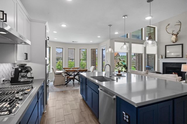 17403 Violet Vineyard Street, Conroe, TX 77302