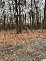 302 Traverse Road, Lehman Twp, PA 18328