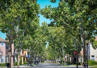 442 Whisman Park Drive, Mountain View, CA 94043