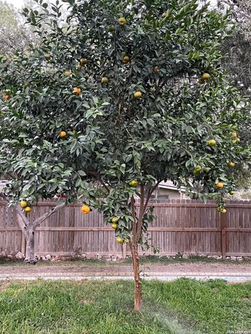 8702 Charro Ln, San Antonio, TX 78217