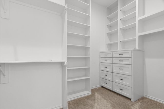 16735 Azalea Lane, Plantersville, TX 77363