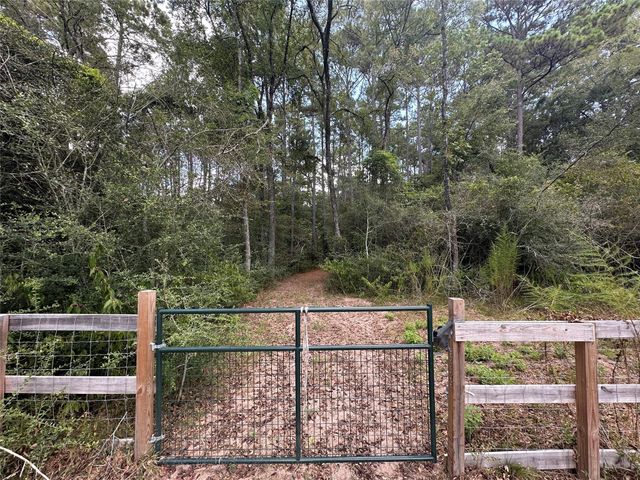 16735 Azalea Lane, Plantersville, TX 77363