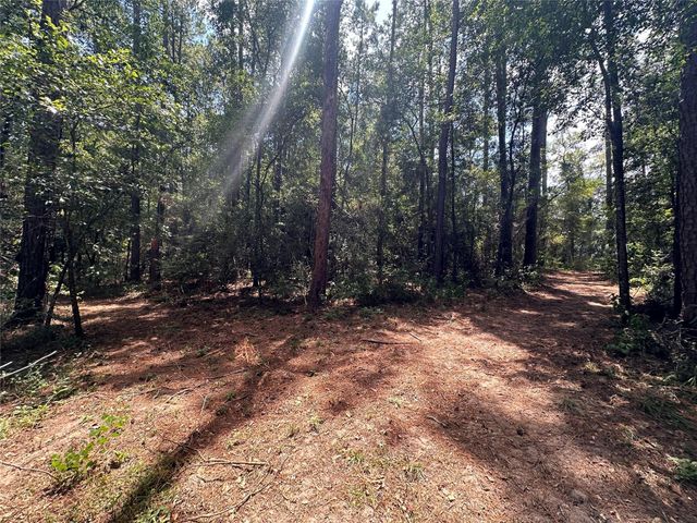 16735 Azalea Lane, Plantersville, TX 77363