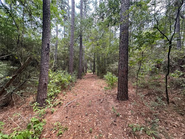 16735 Azalea Lane, Plantersville, TX 77363