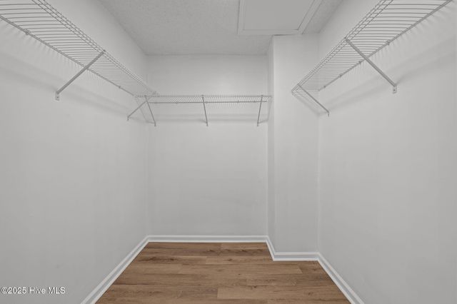 309 Channel Run Drive, New Bern, NC 28562