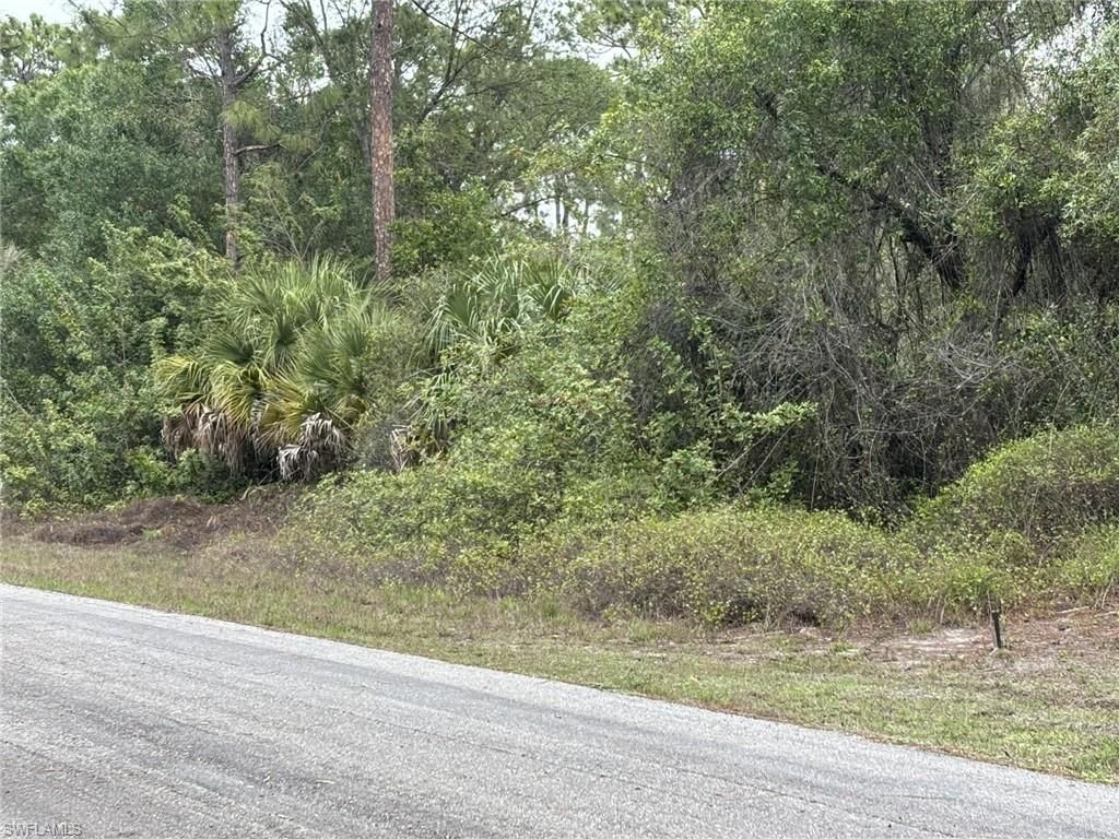 1616 8th AVE, LEHIGH ACRES, FL 33972 — photo 3