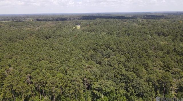 TBD Henderson Ln, Clinton, LA 70722