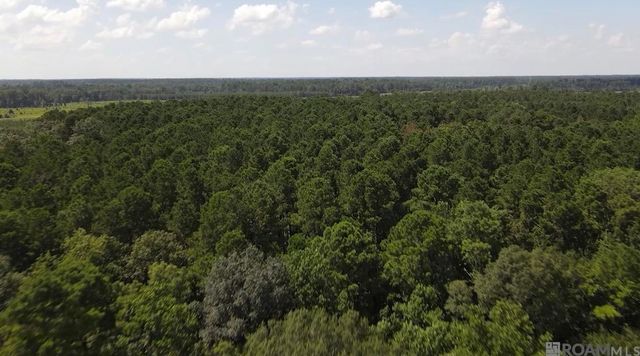 TBD Henderson Ln, Clinton, LA 70722