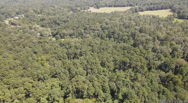 TBD Henderson Ln, Clinton, LA 70722