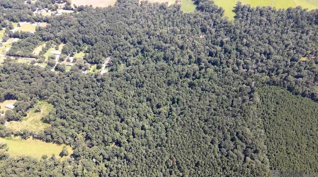 TBD Henderson Ln, Clinton, LA 70722