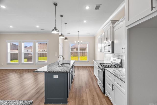 2333 Pleasant Cove, Conway, AR 72034