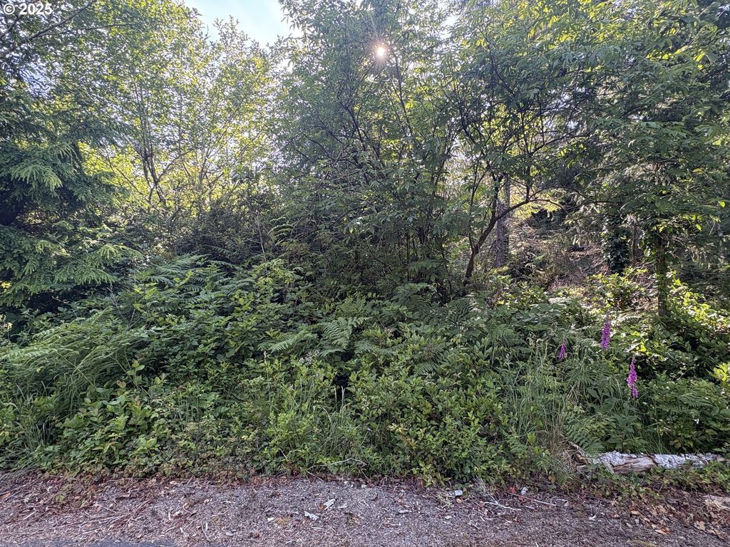 285 xx Z St, Ocean Park, WA 98640