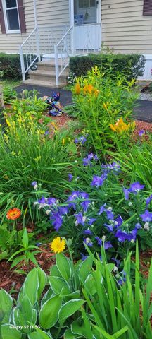 15 Edgewood Drive, Hopkinton, NH 03229