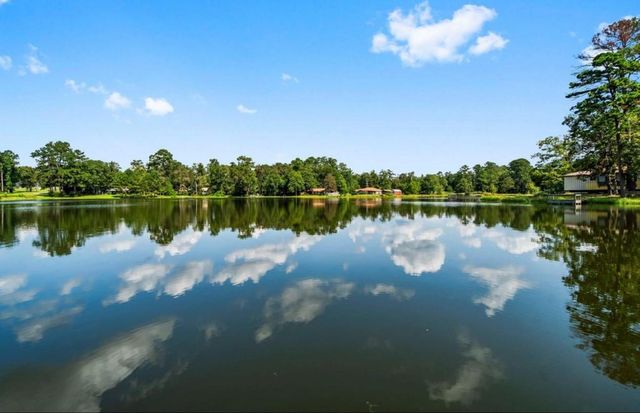 245 Rustic Way, Livingston, TX 77351