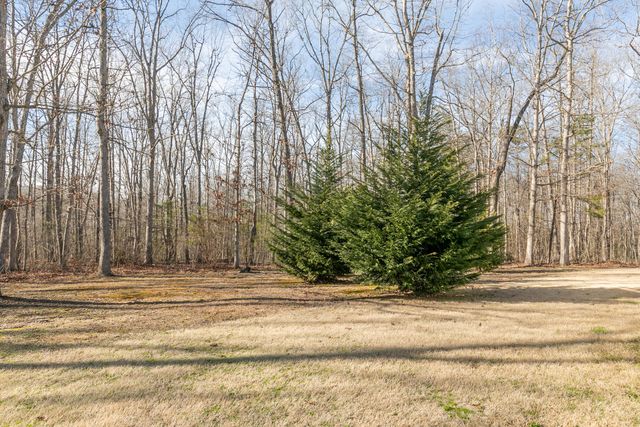 257 Wild Acres Lane, Rising Fawn, GA 30738