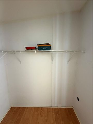 1735 DOROTHY BOULEVARD, Lutz, FL 33558