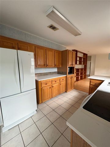 1735 DOROTHY BOULEVARD, Lutz, FL 33558