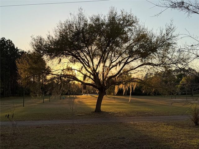 1735 DOROTHY BOULEVARD, Lutz, FL 33558