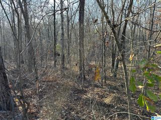0 BROKEN ARROW CREEK ROAD, Riverside, AL 35135