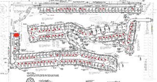 3318 Wilderness Drive, Edinburg, TX 78542