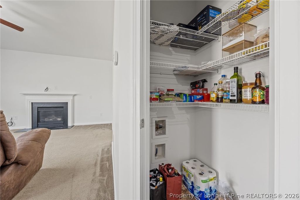226 River Oak Street, Spring Lake, NC 28390 — photo 19