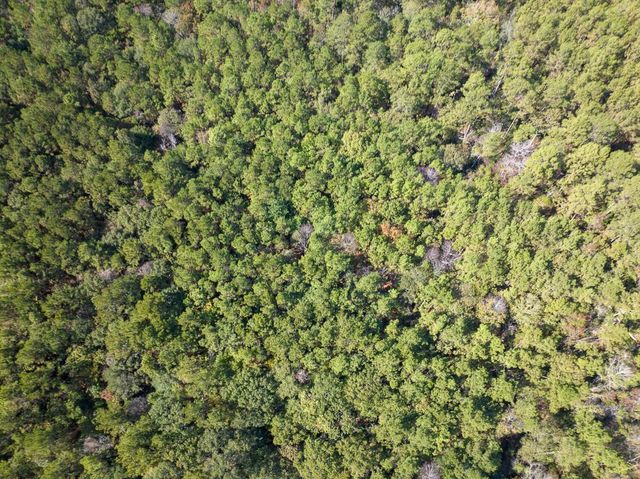 000 Mendez Road, Willis, TX 77378