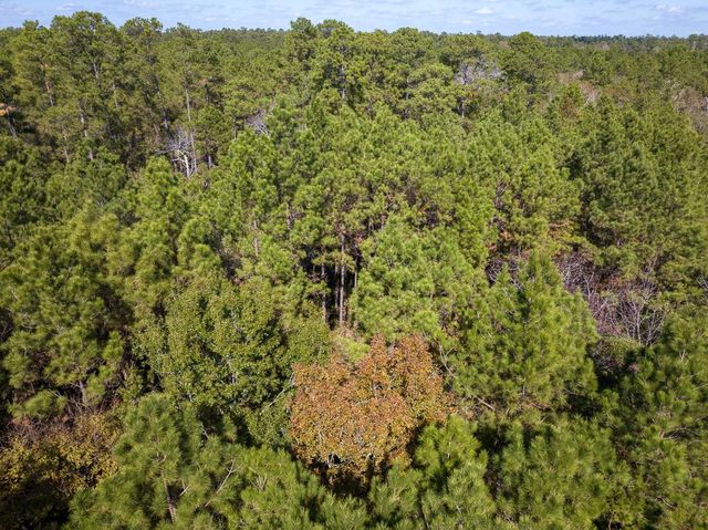 000 Mendez Road, Willis, TX 77378