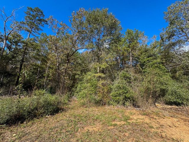 000 Mendez Road, Willis, TX 77378