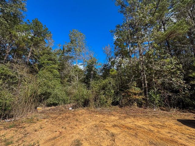 000 Mendez Road, Willis, TX 77378