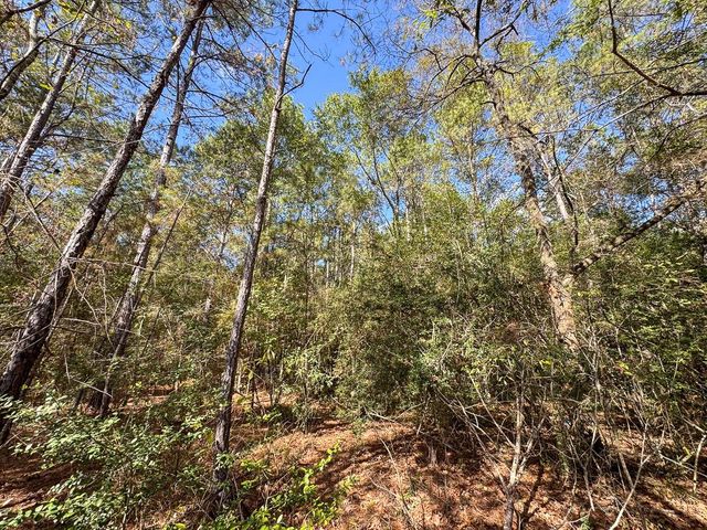 000 Mendez Road, Willis, TX 77378