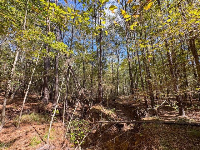 000 Mendez Road, Willis, TX 77378