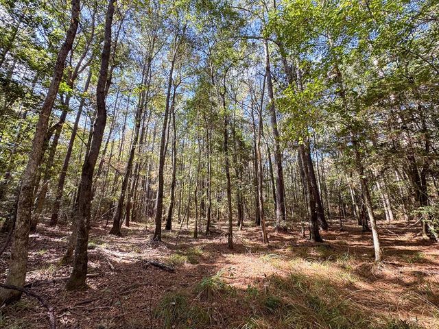 000 Mendez Road, Willis, TX 77378