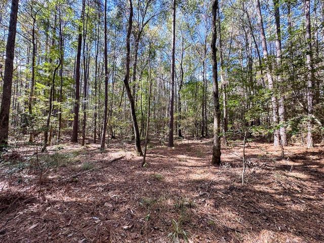 000 Mendez Road, Willis, TX 77378