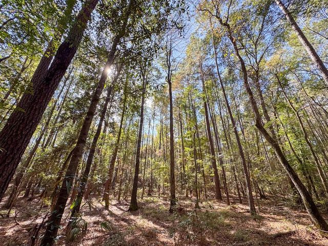 000 Mendez Road, Willis, TX 77378