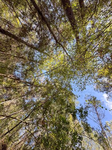 000 Mendez Road, Willis, TX 77378