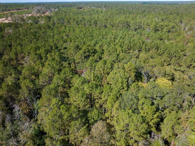 000 Mendez Road, Willis, TX 77378