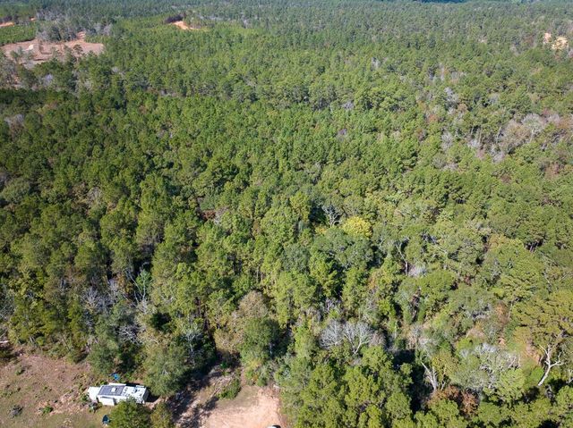 000 Mendez Road, Willis, TX 77378