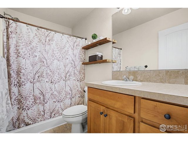 621 Denali Ct, Windsor, CO 80550