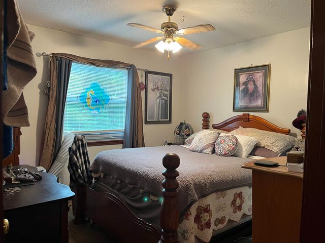 1702 E Spring Drive, Horseshoe Bend, AR 72512