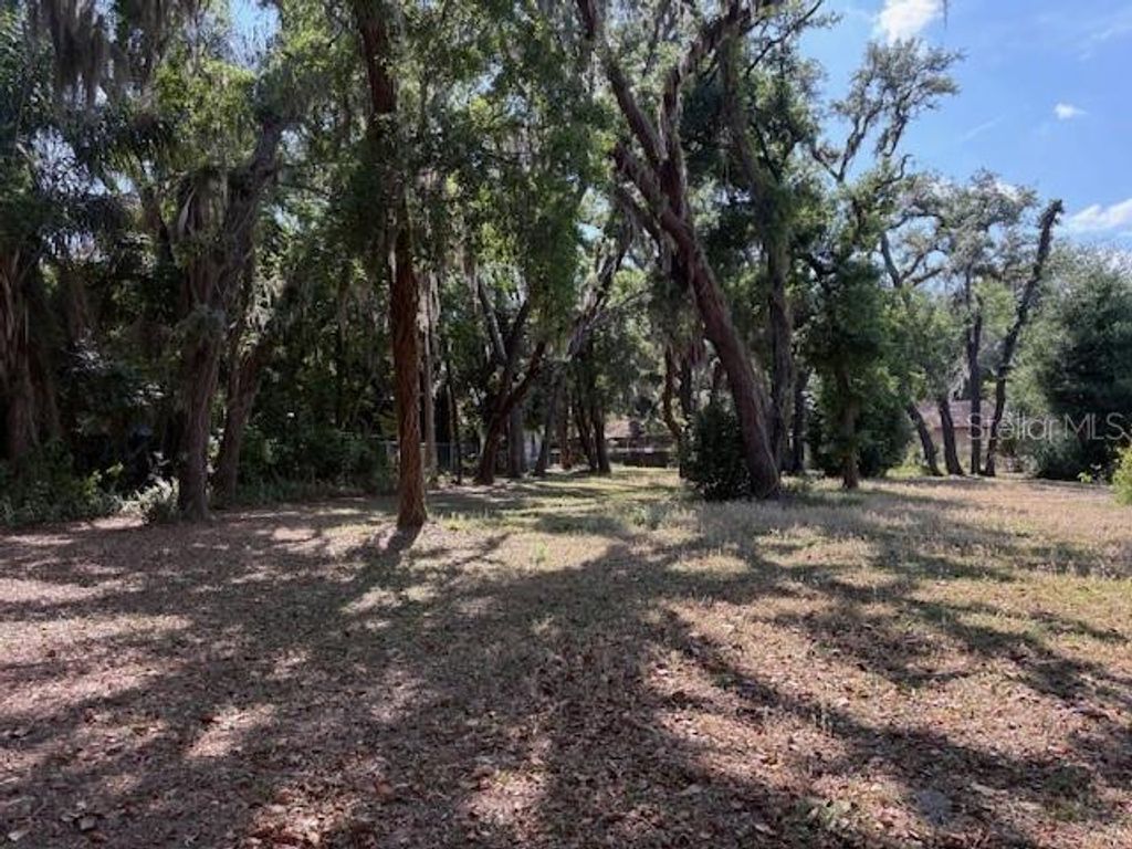 112 N LOCKMOOR AVENUE, Temple Terrace, FL 33617