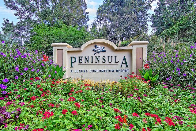 700 Daniel Ellis Drive 7206, Charleston, SC 29412