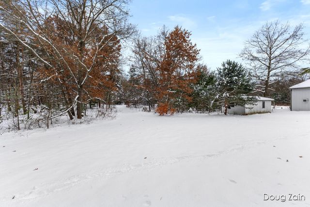 12040 Macclain Street, Cedar Springs, MI 49319