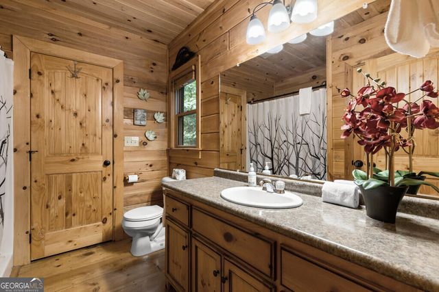 43 Jason Martin Circle, Cherry Log, GA 30522