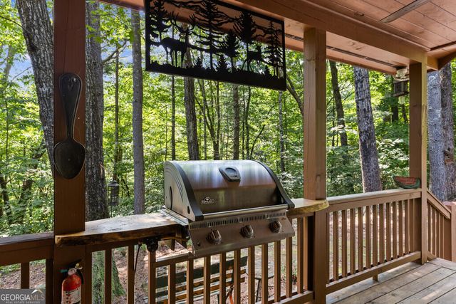 43 Jason Martin Circle, Cherry Log, GA 30522
