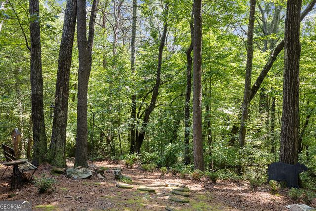 43 Jason Martin Circle, Cherry Log, GA 30522