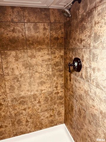 709 S EAST Avenue, Manito, IL 61546